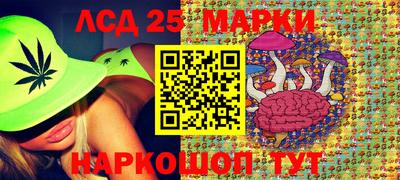 mdpv Донской