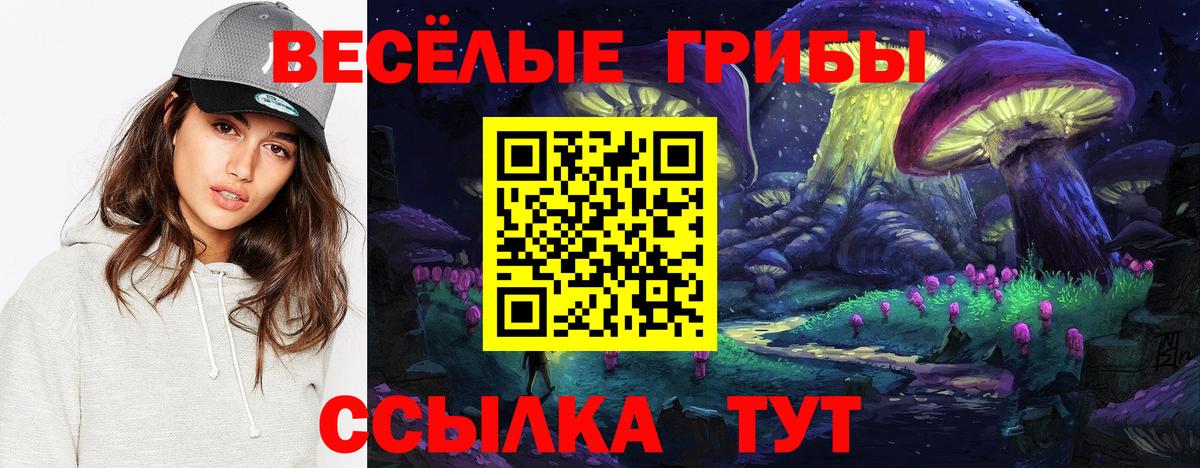 Псилоцибиновые грибы ЛСД  Вход с VPN  Миасс  Псилоцибиновые грибы Cubensis 
